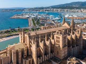 palma stad