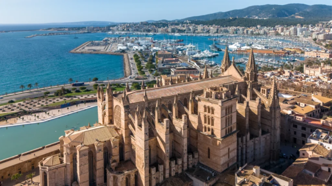 palma stad
